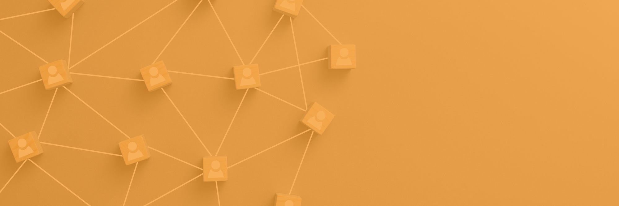 Copy of Assessment Header Image (1200 x 400 px) (1)