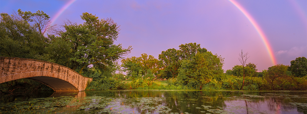 bridge over pond with lily pads and a rainbow