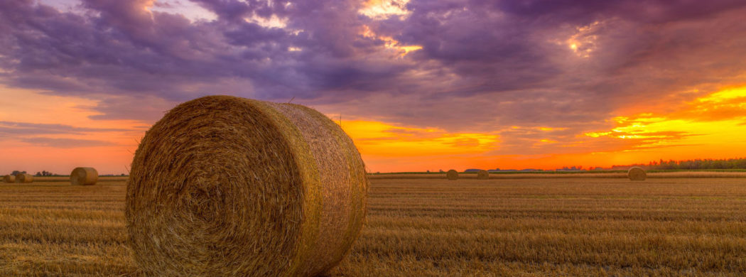 feature-hay-bale-1050x390